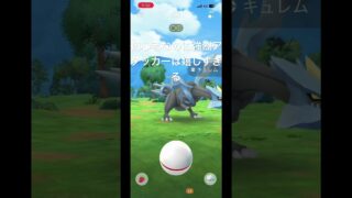 #ポケモンgo #初心者