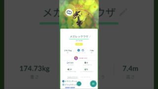 天空の想いイベント　色違いレックウザ #ポケモンgo