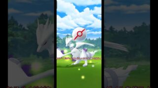 ポケモンgoサカキ報酬開封＃ポケモン＃ポケモンgo＃ポケモンゴー＃shorts#シャドウレシラム＃サカキ #pokemon