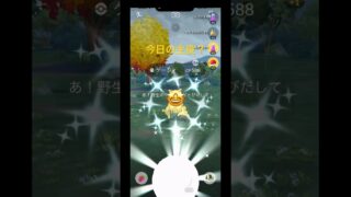 今日の主役の色違いはなぁ〜に⁉️