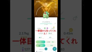 ピカチュウレイド少なすぎない？