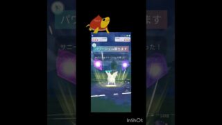 初手でガラルサニーゴ使っていきますわよ🤗