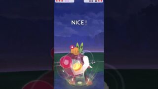 ロケット団、サカキ初見攻略！withメガルカリオ【ポケモンGO／レシラム】