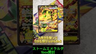 【ポケカ19】ストームエメラルダ1box開封 #ポケモンカード #ポケカ #ポケモン