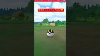 7月の思い出に撮影した色違い41匹目❤️今年179匹目（コミュデイ除く）、記念、記録動画🎥【ポケモンGO】#shorts #pokemon #shinypokemon