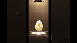 ユキハミ色違い狙いでタマゴ9個割ってみた🥚❄️ 果たして結果は…!?👀 👍いいね＆チャンネル登録よろしくお願いします！ #ポケモンGO #ユキハミ #色違い #PokemonGO #Shorts