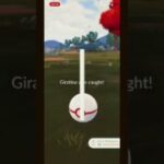 Catching shadow garentina in Pokémon go #pokemon