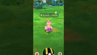 EL MEJOR LUGAR PARA FARMEAR SHINYS EN POKÉMON GO #pokemongo #pokemon