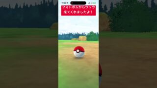 ウッウ初GET #ポケモンgo #pokemongo #ポケモン #ポケモンgo色違い #pokemon