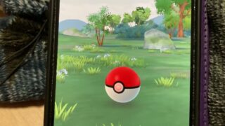 キャモメの色違いGET！(ポケモンGO)