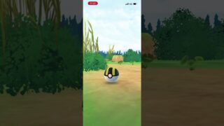 #ポケモンGO トサキント　色違い