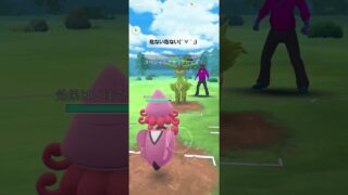 ポケモンGO 通常ハイパーリーグ トゲデマル、カプ・テテフ、フラージェス