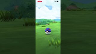 #ポケモンGO ヒトモシ　色違い