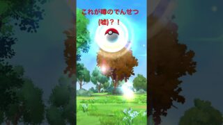 ポケモンGO初心者がパチモンほうおうをゲットした！