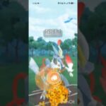 ポケモンGOバトルリーグ　マスターリーグ 2436