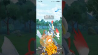 ポケモンGOバトルリーグ　マスターリーグ 2436