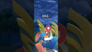 ポケモンGOバトルリーグ　マスターリーグ 2457