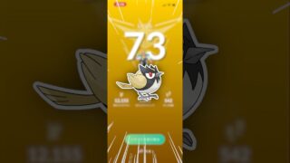やっと、レベル上がりましたー！【ポケモンGO】