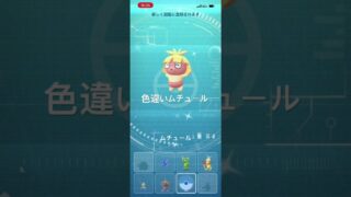 ポケモンGO 2kmタマゴから色違いムチュール孵化！ #pokémon #ポケモン #ポケモンgo
