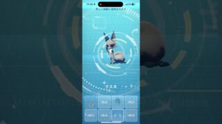 色違いクスネ図鑑登録【ポケモンGO】