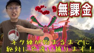 【ポケモンGO】無課金！キョダイマックスゴリランダーの色違いを大捜索！【お笑いシニア倶楽部】