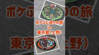 ポケふたを求めて…上野編 #ポケモンGO #ポケGO #ポケふた #shorts