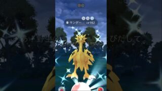【ポケモンGO】ついにガラルサンダーの色違いが出た！！　#ポケモンgo #色違い #ガラルサンダー #ポケモン #shorts