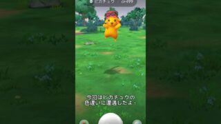 【ポケモンGO】あわわ💦…いつの間にかこんなに期間が空いてるとは思わなかった💦 #ポケモンgo #色違い #ピカチュウ #ポケモン #shorts