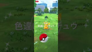 ポケモンGO 色違いサマーピカチュウ出現！ #ポケモン #pokémon #ポケモンgo