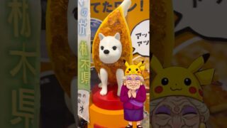 【ポケモンGO】宇都宮に謎の“餃子犬”！？メガガブリアス＆グラードン祭り開催中！ #shorts