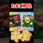【ポケモンGO】無料で1/2、課金で1/4！今日の11時〜17時が勝負！卵を割るなら今すぐ準備して #shorts
