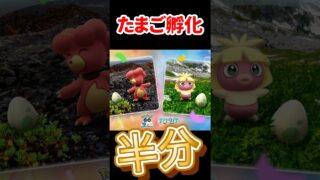 【ポケモンGO】無料で1/2、課金で1/4！今日の11時〜17時が勝負！卵を割るなら今すぐ準備して #shorts