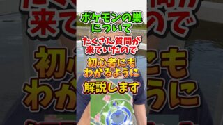 【重要】⚠️勘違い多発⚠️誤解注意！ポケモンの巣について初心者にもわかるように解説します！タブンネの巣やミツハニーの巣についても【ポケモンGO】#ポケモンGO #島名なまし　#ポケモンの巣