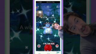 Had a Lucky Monday with Shiny Pokémon in Pokémon GO! #shinypokemon #pokemongo #shinymiltank