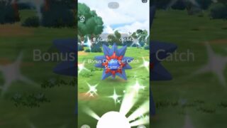 ✨I Got BACK TO BACK RAID SHINIES In Pokemon Go!✨ #shorts #pokemon