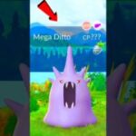 Mega Ditto! 🤯First time this type of Mega Ditto appeared for me.