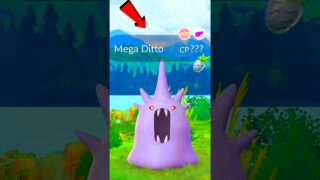 Mega Ditto! 🤯First time this type of Mega Ditto appeared for me.