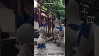 クスネ｜Nickit｜フォクスライ｜Thievul｜GOphotobomb｜Shiny Pokémon【ポケモンGO】AR動画｜PoKeMoN GO AR