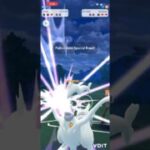 Origin Palkia one shots Reshiram