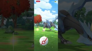 メタモンだけで討伐 #ポケモンgo   面白かったらいいねよろしく