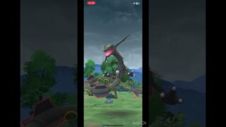 黒のレックウザきたー！！！#ポケモンgo#ポケモン#レックウザ#色違い#神引き