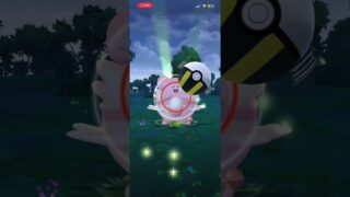 野生のハピナス出現#ポケモンgo
