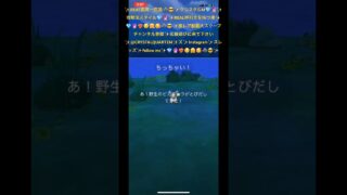 ✨【衝撃の激レア激かわちっちゃい！アストロピカチュウちゃん神引きする漢🐺😎🤗😉】✨最近色違いよりも✨可愛いちっちゃいポケモン集めてます✨色違い飽きた🙈🙈🙈✨ #ポケモン #ポケモンgo
