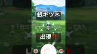 【コミュデイ】野生の色違いポケモンを探して捕獲する動画 #ポケモンgo #pokemongo #クスネ
