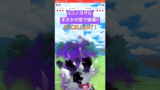 れんち型かインファ型で結構迷ってた #ポケモンgo #ポケモン #pokemongo #gbl #ゲーム実況 #スーパーリーグ #ゲーム #コノヨザル #カメックス #pvp
