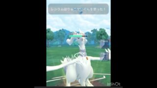 漢は黙って「流星群‼️」