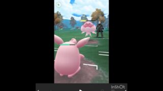 プクリン使っていく！