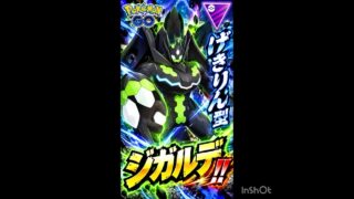 ジガルデが強いか！(◎_◎;)