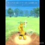 注目のサーフゴー🕶️