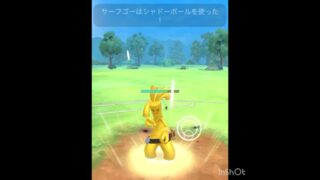 注目のサーフゴー🕶️